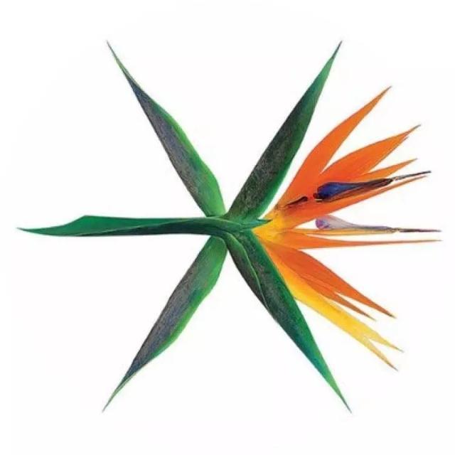 SM的“杀手锏”EXO即将回归，霸气宣言：下半年被我们接管了