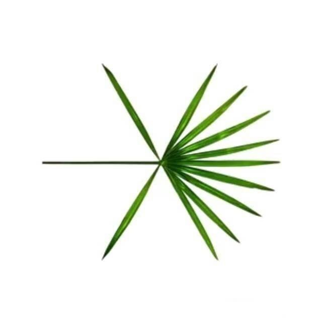 回归logo创意比拼！只服EXO！