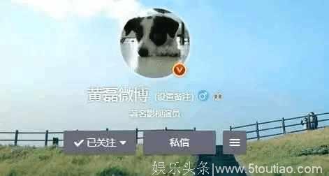 揭秘吴奇隆、萧敬腾陈伟霆等众多明星是怎样为宠物起名的，这脑洞简直了！