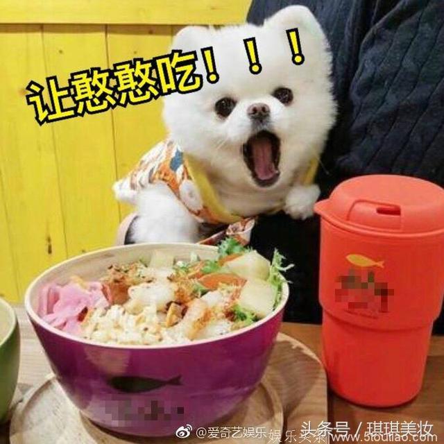 鹿晗健身控制饮食，粉丝却回怼美食图，鹿哥：我可能有一群假粉丝