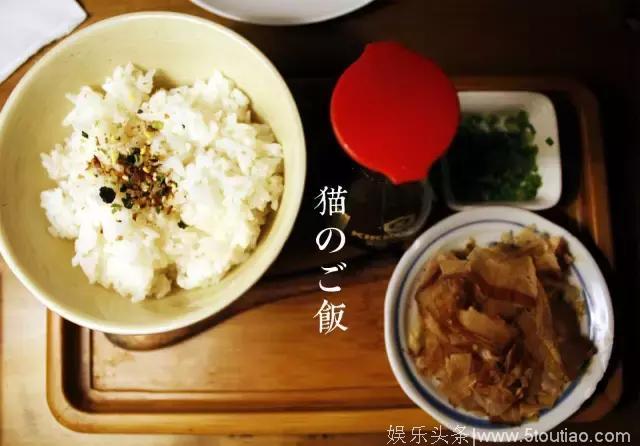 百味人生 温馨暖心 美食情缘《深夜食堂2》长篇影评