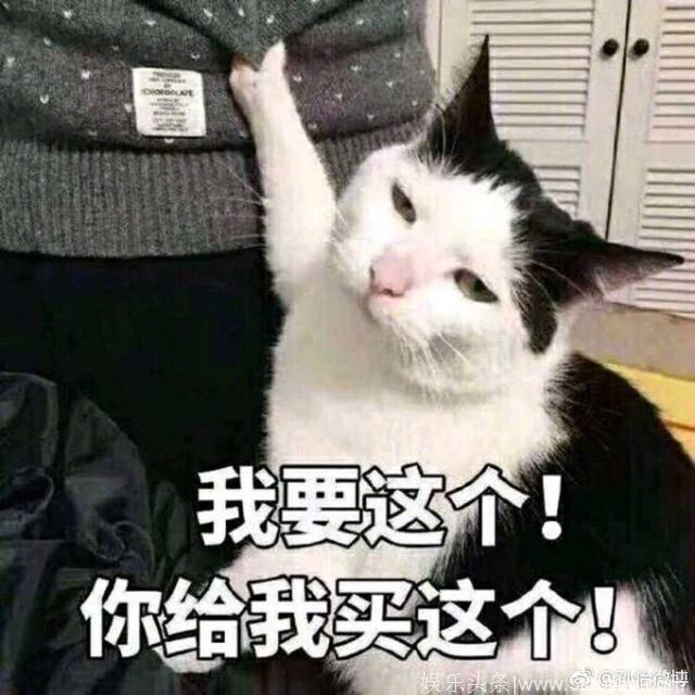 孙怡半夜发孕照，结果和董子健在评论里秀起了恩爱