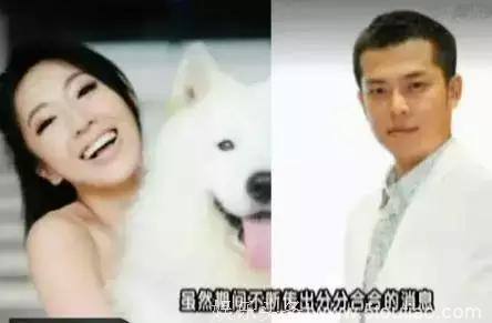 王心凌总在垃圾堆捡男友？这渣男体质还有救么？
