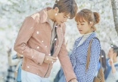 韩剧中的“樱花”场景，朴炯植朴宝英，赵寅成宋慧乔，谁更浪漫？