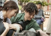 8月份将播出的6部韩剧，玉泽演金在中河智苑，想不想看？