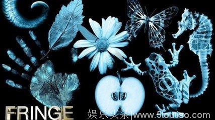 《Fringe》：一部需要耐心和细心的科幻美剧