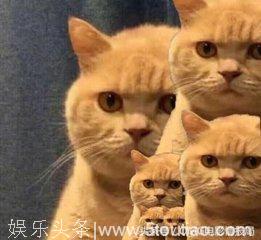 国外电影杂志选出了电影顶级反派排名，异形勉强第十，伏地魔第五
