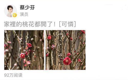 蔡少芬发文称家里桃花开了，网友：将梅花变成桃花，臣妾做不到！