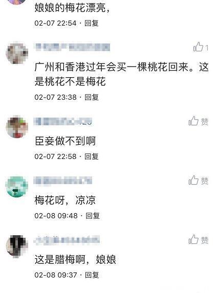 蔡少芬发文称家里桃花开了，网友：将梅花变成桃花，臣妾做不到！