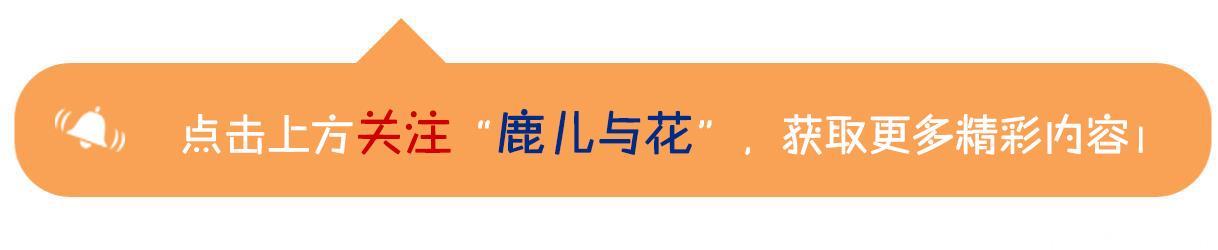 贝克汉姆儿子布鲁克林已经胖成范伟了！这些星二代却美貌惊人！