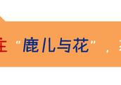 贝克汉姆儿子布鲁克林已经胖成范伟了！这些星二代却美貌惊人！