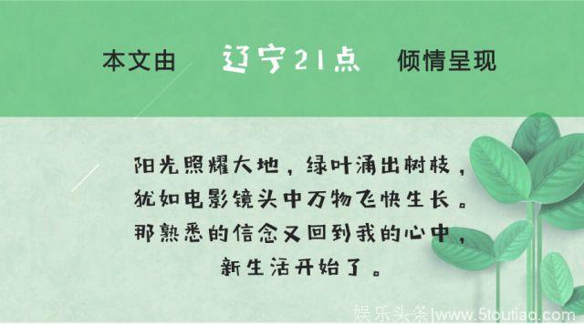 春节大片扎堆怎么办？锁定这几部就足够了！