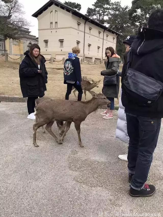 明星春节期间动态大盘点，看点十足，杨幂和刘恺威又亮大灯了