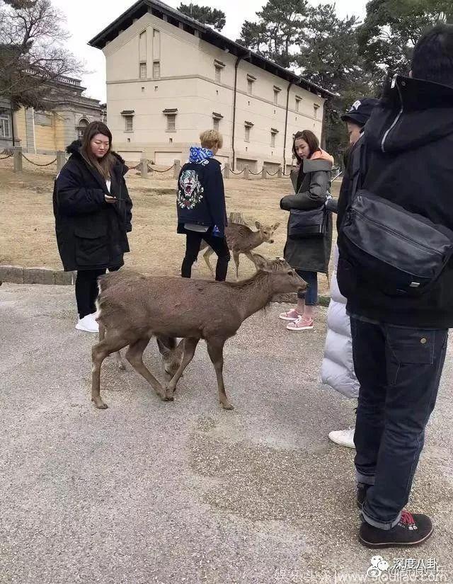 关晓彤鹿晗又秀恩爱，粉丝遭受的暴击也太多了吧？