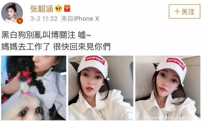 范玮琪暗讽小S没有资格当妈？黑人护妻人设也崩塌，网友：情商低