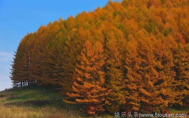 16天成功怀孕的的秘诀！张柏芝想要的，让我们来帮忙吧