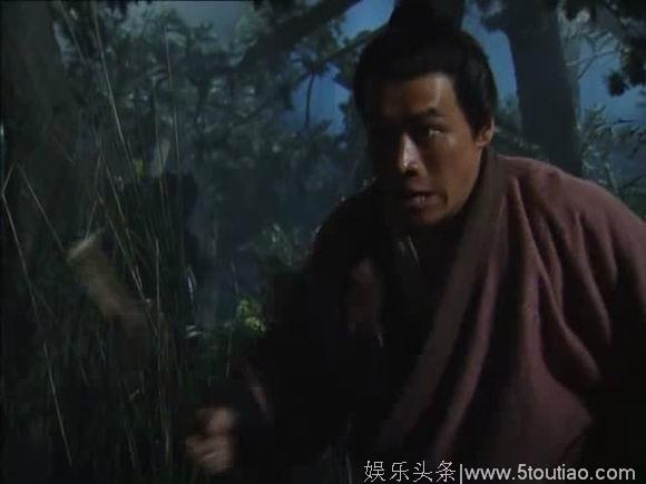 为什么丁海峰版“武松打虎”最经典？因为他打的是真老虎！