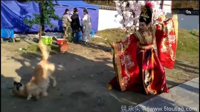 《至尊红颜》主要演员今何在？有人连生三胎，有人铸下大错难翻身