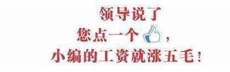 那英声称在内地只有韩红可以和我抗衡, 韩红回答让那英颜面尽失