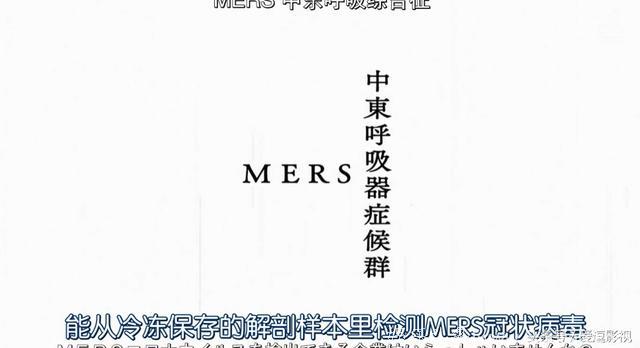 日剧《非自然死亡》豆瓣9.2 日本国民小妖精素颜上演