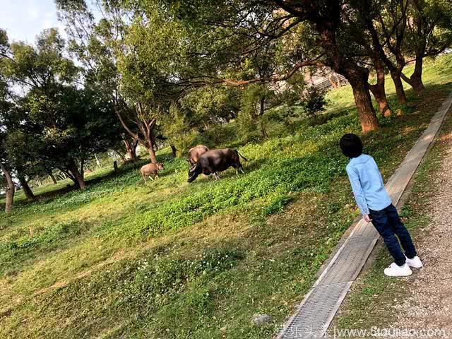 陈若仪带大儿子一起踏青，Kimi拍下妈妈最美的模样！