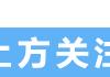 2018年春季日剧这么多，日本网友最期待这十部！