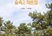 林中小屋是什么节目 韩国综艺《林中小屋》哪里可以看什么时候更新