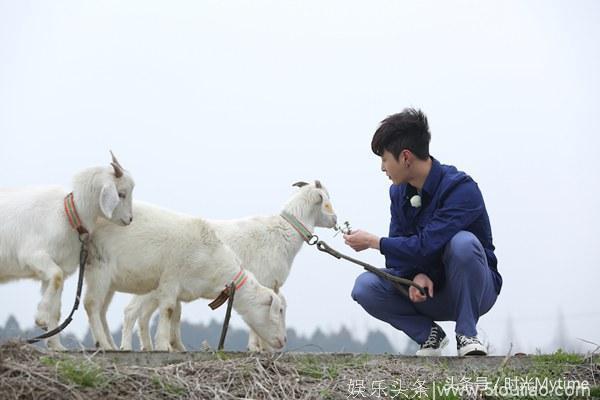 《极限挑战4》果然没有让人失望，中国最良心的综艺，没有之一！