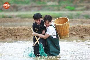 唱跳转综艺扮蠢吸粉，Henry人设崩塌，网友：学学张艺兴