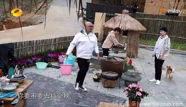 张杰上综艺节目为什么总是被黑？