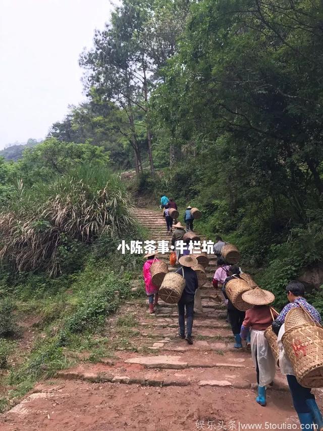 茶圈甄嬛传，比电视剧还精彩！