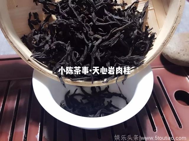 茶圈甄嬛传，比电视剧还精彩！