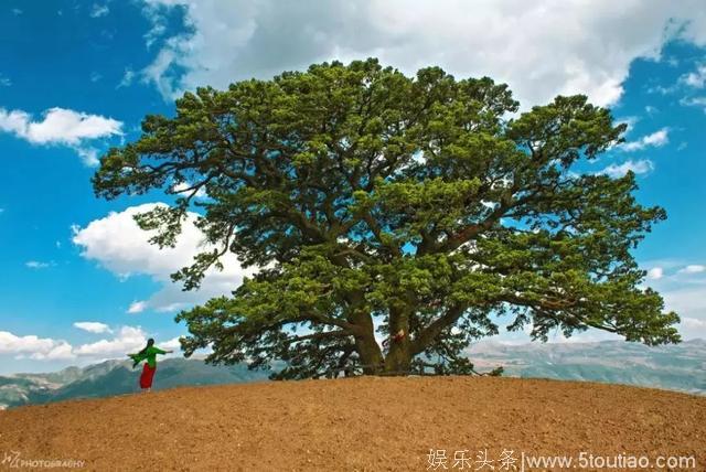 这些电影、综艺捧红的旅行地，你种草了几个？