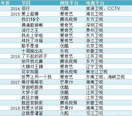 “先网后台”背后：网络综艺的电视化改造