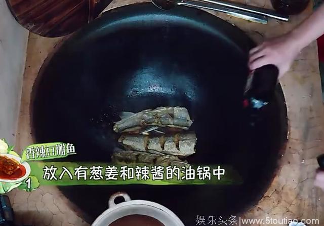 《向往2》刘宪华抓草鱼，黄磊做饭却换成青鱼，细心网友一眼看穿