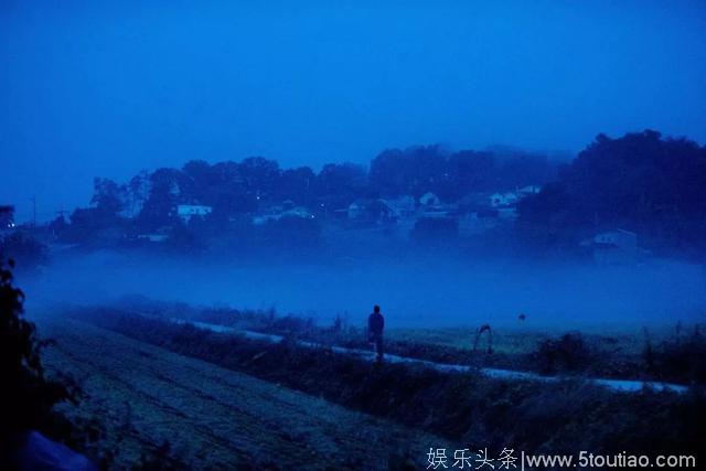 这部戛纳史上最高分电影，我劝你不要看