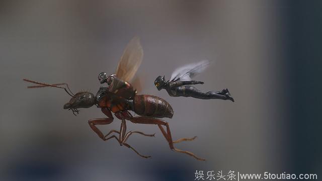 《蚁人2》首轮影评出炉，量子领域成了复仇者战胜灭霸的关键？