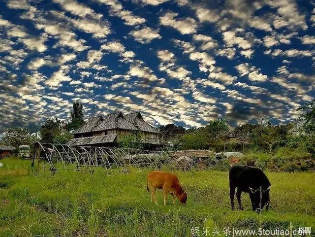 又一综艺亲子节目在云南这里取景，这次藏不住了