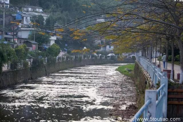 又一综艺亲子节目在云南这里取景，这次藏不住了