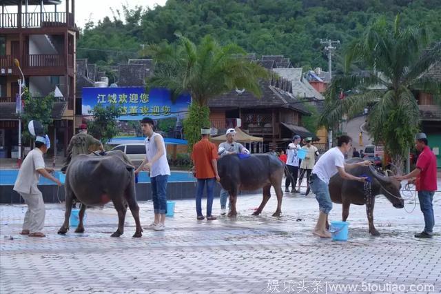 又一综艺亲子节目在云南这里取景，这次藏不住了