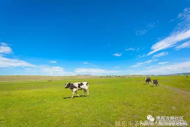 原来这些大热综艺拍摄地这么好玩，分分钟就能偶遇明星！