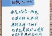 《向往的生活》公开嘉宾留言，BABY倪妮对比惨烈，网友：字如其人