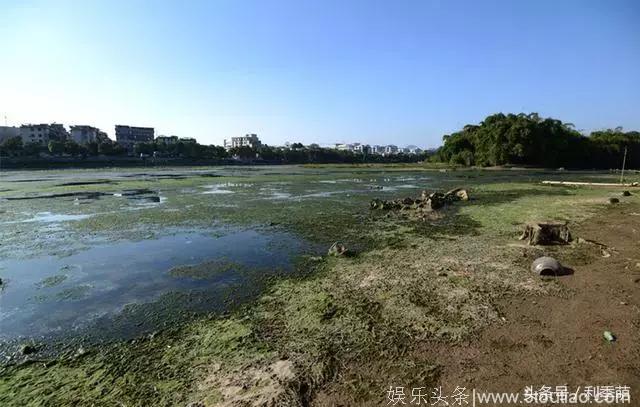 「透视旅行」“柳州”你不知道的故事