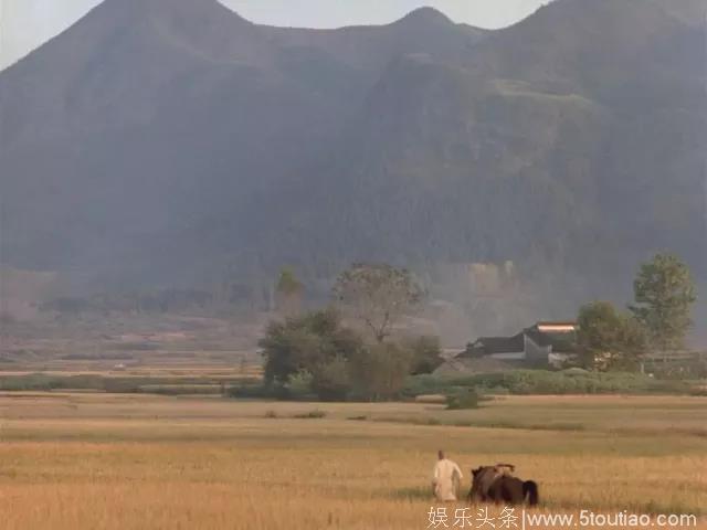 黄山有秘境，片外见桃源，许多综艺影视来此取景……