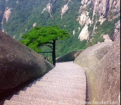 黄山有秘境，片外见桃源，许多综艺影视来此取景……