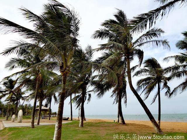 长夏无冬之地海口，四季常青