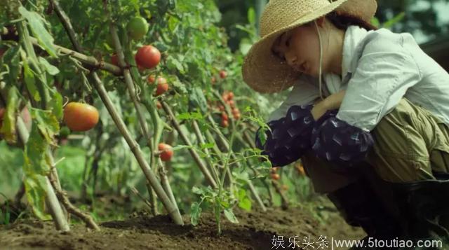 八部适合夏天看的电影，部部都是精品，收藏了慢慢看！