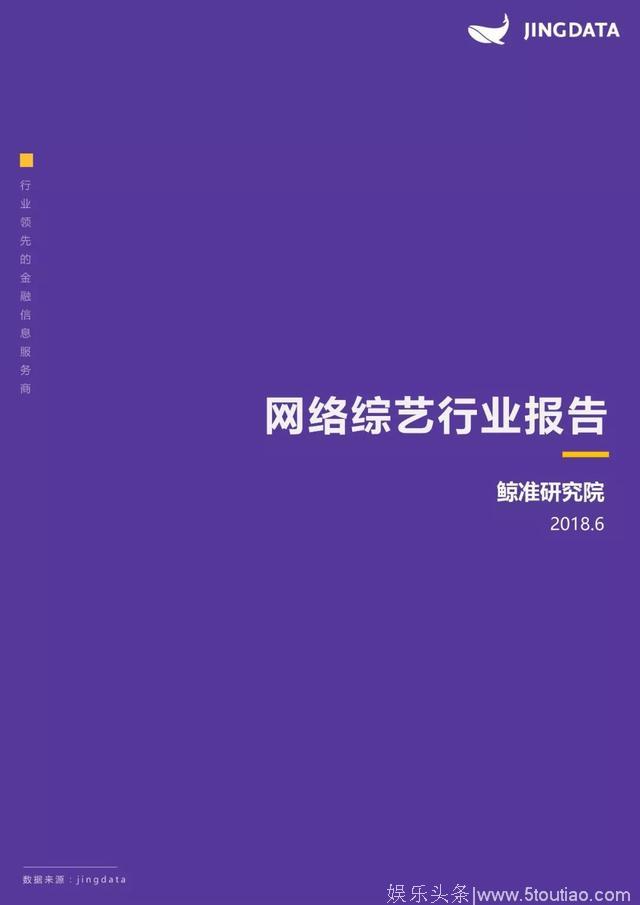 2018中国网络综艺报告