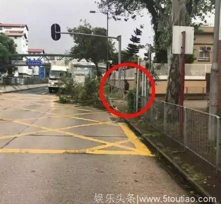 香港最美风景，是这些甘于平凡的“市民”