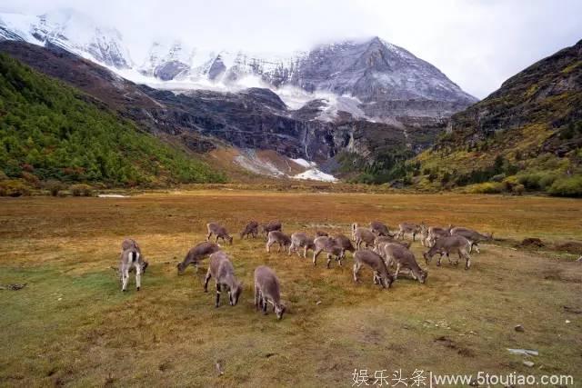 这里凭借独特的自然风光成为众多电影的取景地，究竟有何魅力？